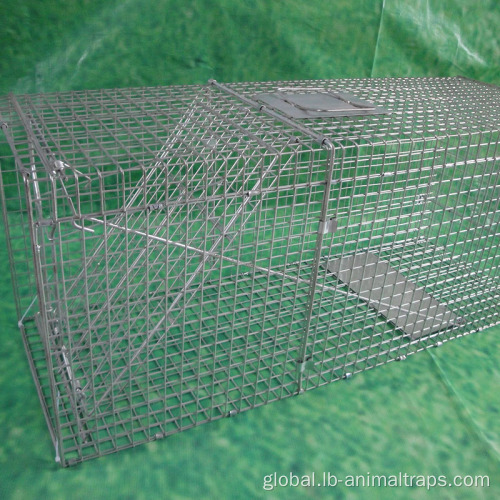 Bird Aviaries for Sale Animal Cage Traps Live Bird Trap Factory